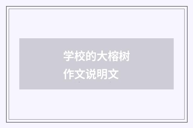 学校的大榕树作文说明文